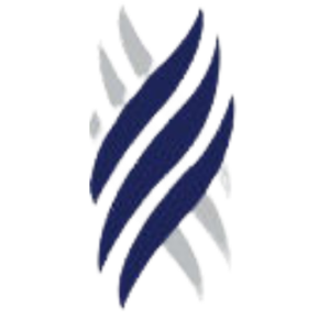 Nisir Microfinance Institution S.C. logo